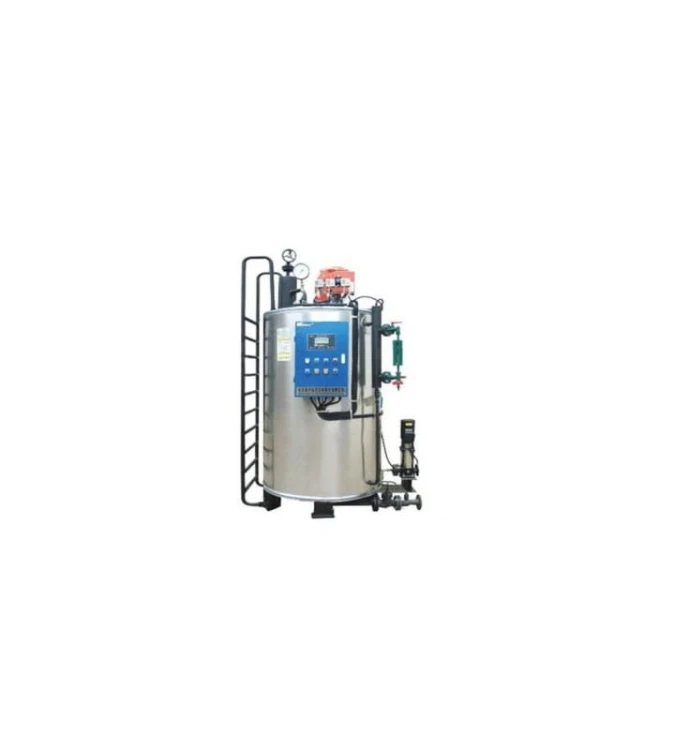 GENERATOR PARY 500 kg/h LHS0.5-0.4-Q