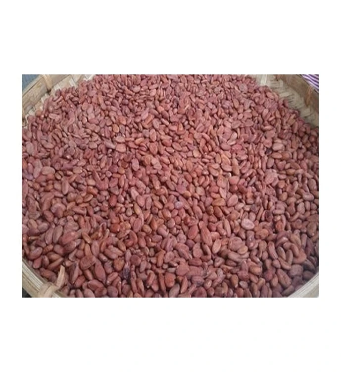 LINIA DO PRODUKCJI KAKAO