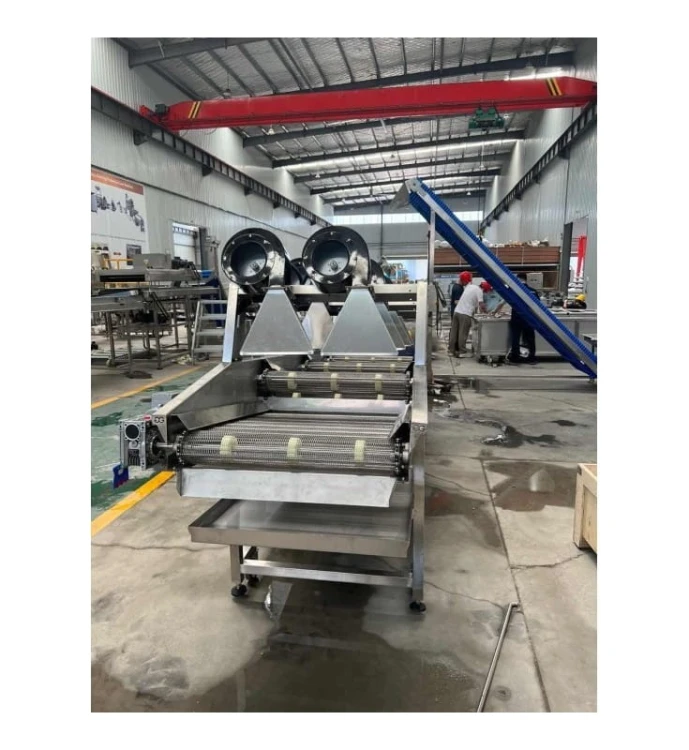 LINIA DO ROZDRABNIANIA I OBIERANIA CZOSNKU 1000 kg