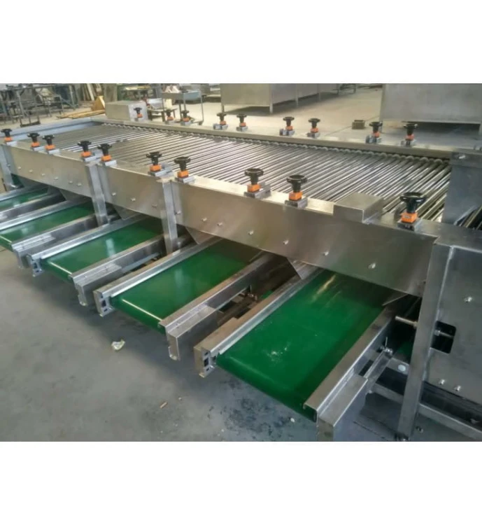 LINIA DO ROZDRABNIANIA I OBIERANIA CZOSNKU 1000 kg