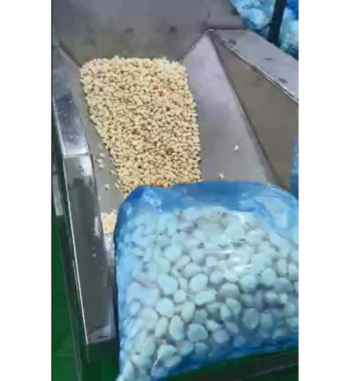 LINIA DO ROZDRABNIANIA I OBIERANIA CZOSNKU