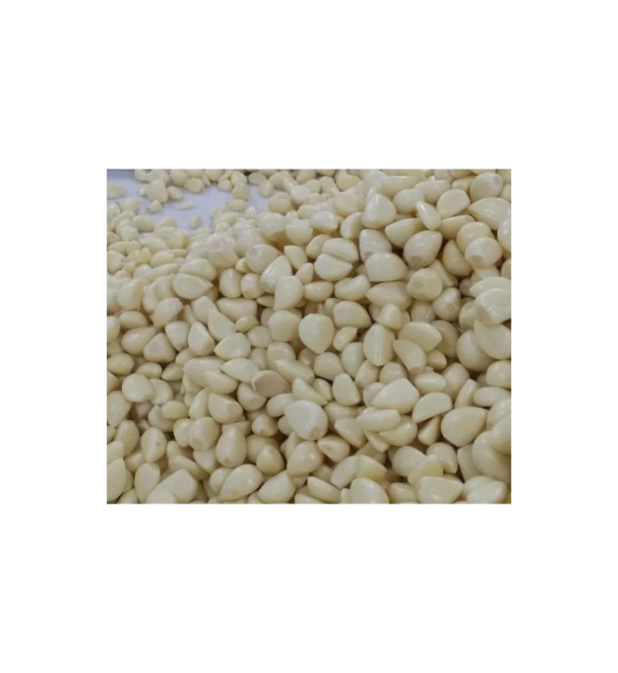 LINIA DO ROZDRABNIANIA I OBIERANIA CZOSNKU 1000 kg